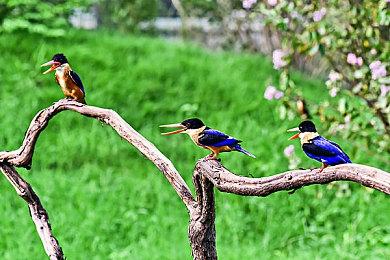 V社正在开发多个游戏 很多员工参与其中