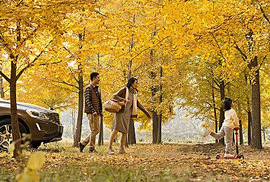 《匹诺曹的谎言》续作将采用虚幻5引擎